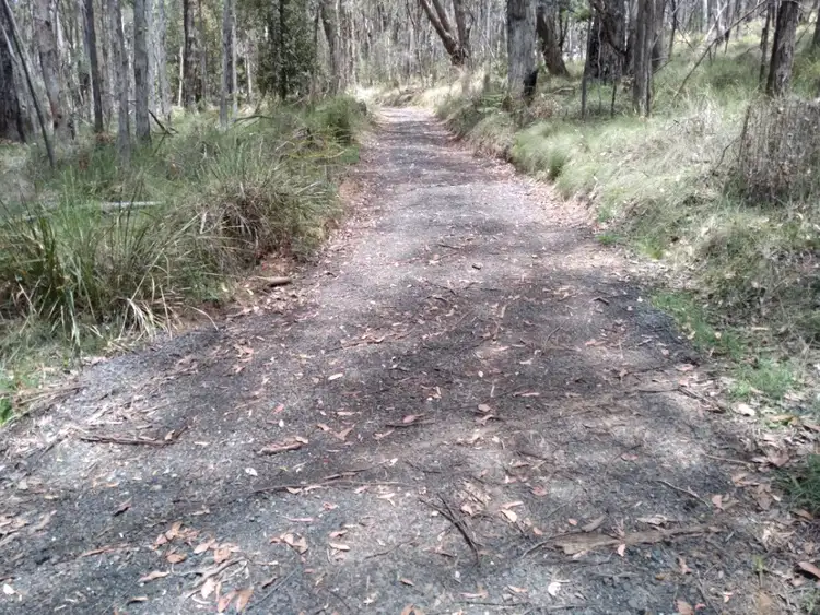 Second view of Homely land listing, LOT 1 Mount Charlie Road, Riddells Creek VIC 3431