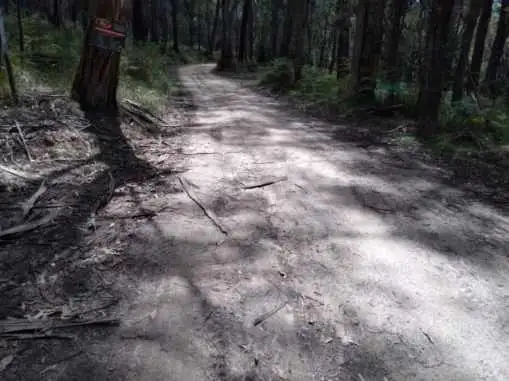 Fifth view of Homely land listing, LOT 1 Mount Charlie Road, Riddells Creek VIC 3431