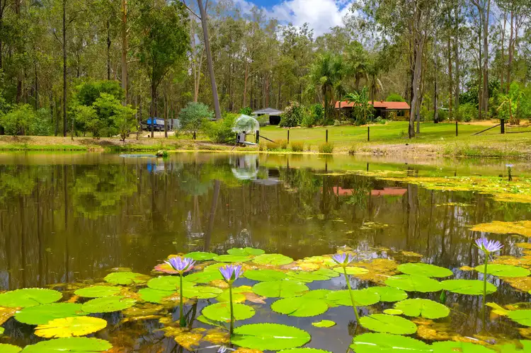 15 Arborseventeen Road, Glenwood QLD 4570