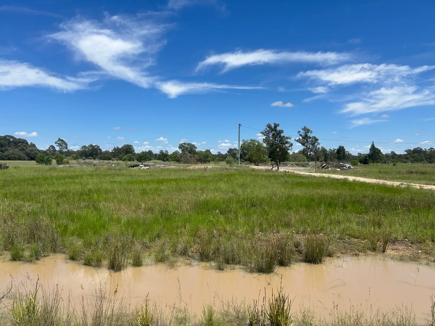 Main view of Homely land listing, 297 Kofoeds Road, Tara QLD 4421