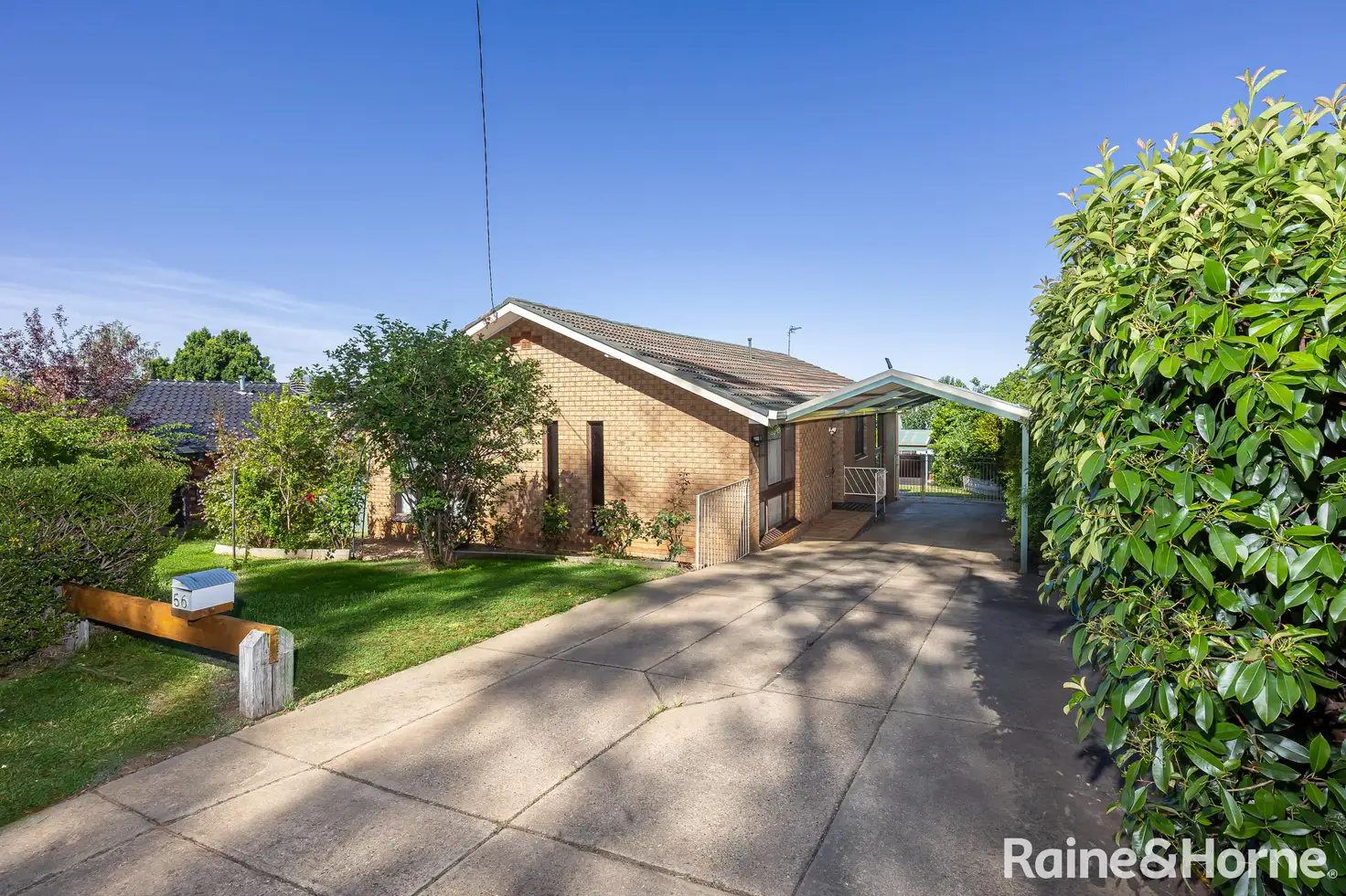 Main view of Homely house listing, 56 Mimosa Drive, Mount Austin NSW 2650