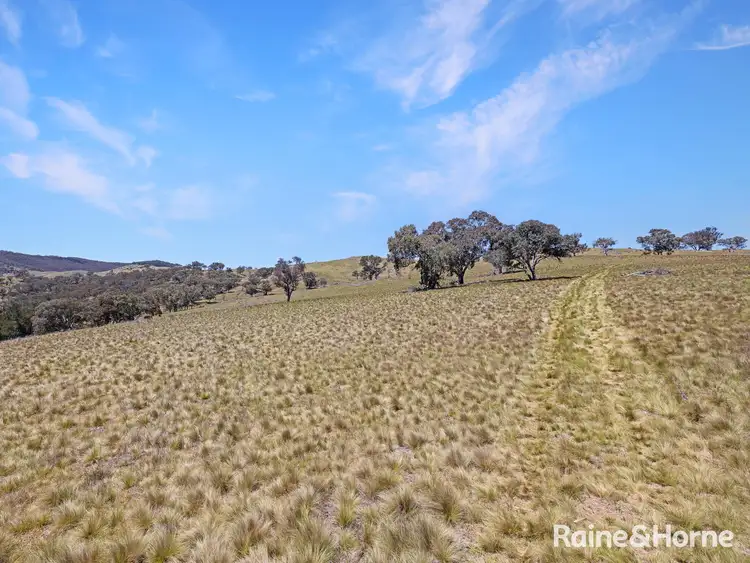 Sixth view of Homely rural property listing, 1988 Freemantle Road, Milkers Flat NSW 2795
