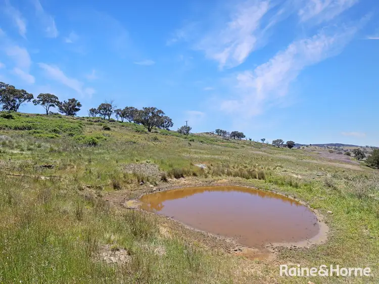 Seventh view of Homely rural property listing, 1988 Freemantle Road, Milkers Flat NSW 2795