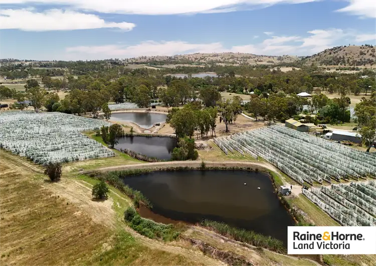 Sixth view of Homely rural property listing, 43 Reservoir Road, Harcourt VIC 3453