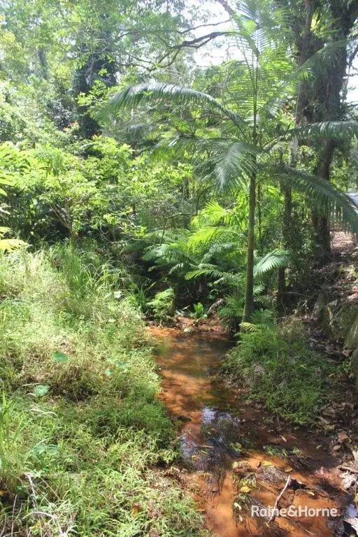 Lot 1 Cape Tribulation Road, DIWAN, Daintree QLD 4873