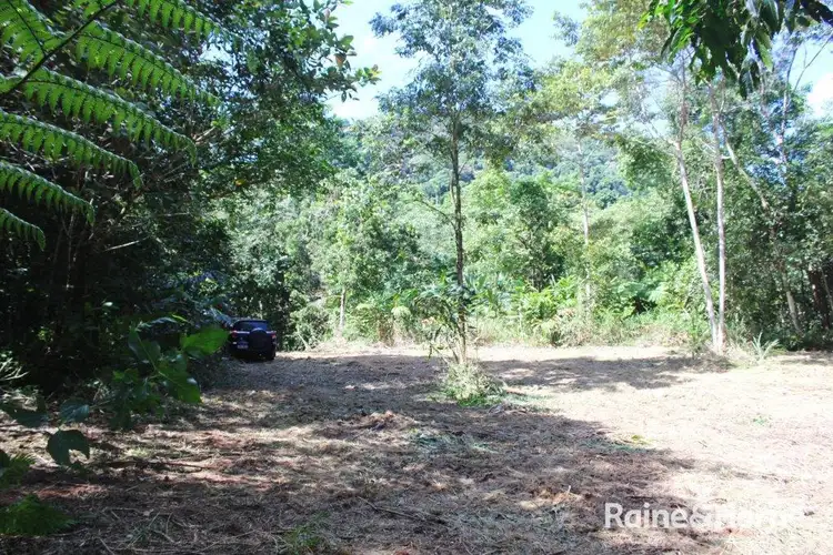 Sixth view of Homely land listing, Lot 1 Cape Tribulation Road, DIWAN, Daintree QLD 4873