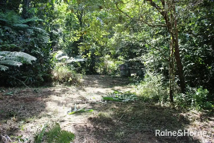 Seventh view of Homely land listing, Lot 1 Cape Tribulation Road, DIWAN, Daintree QLD 4873