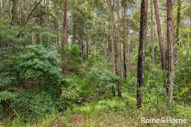 Sixth view of Homely rural property listing, 49a Woollamia Road, Falls Creek NSW 2540