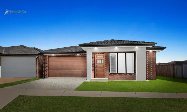 13 Celosia St