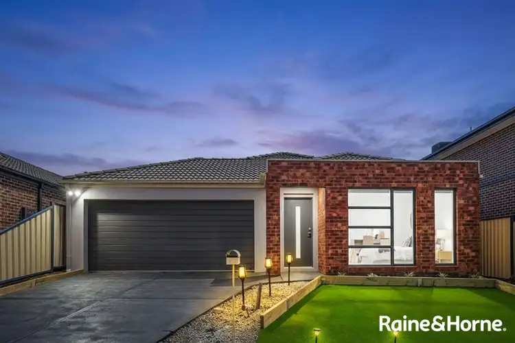 47 Manny Paul Circuit