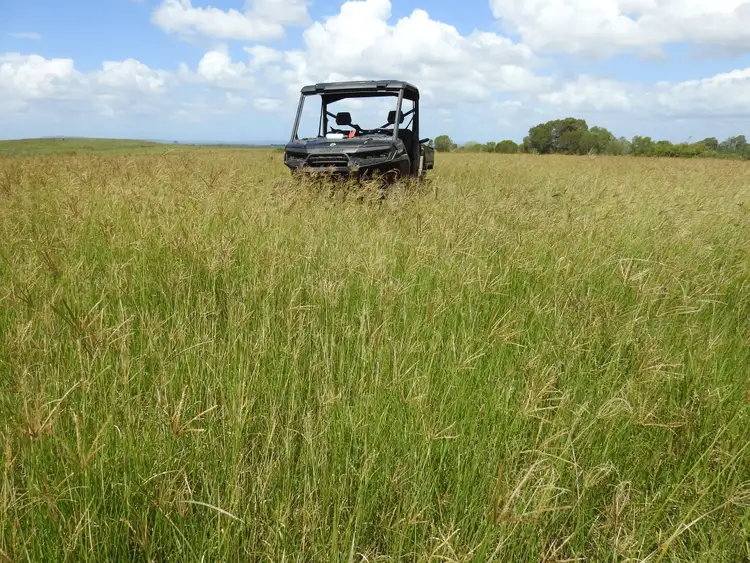 Lot 119 Ellangowan Myrtle Creek Road