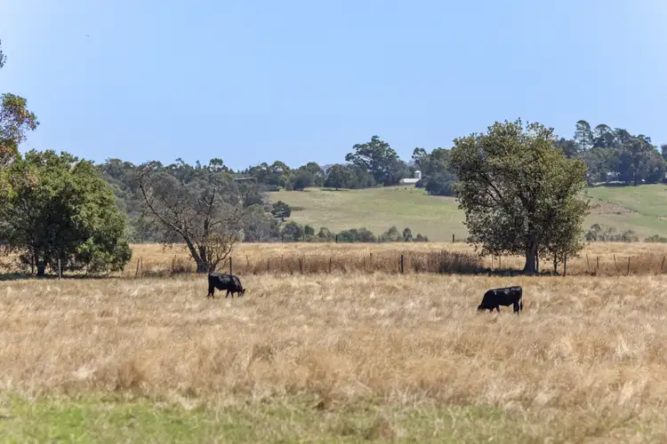 Seventh view of Homely land listing, 12 Maddens Lane, Coldstream VIC 3770