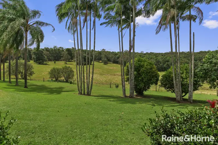 1982 Noosa Road
