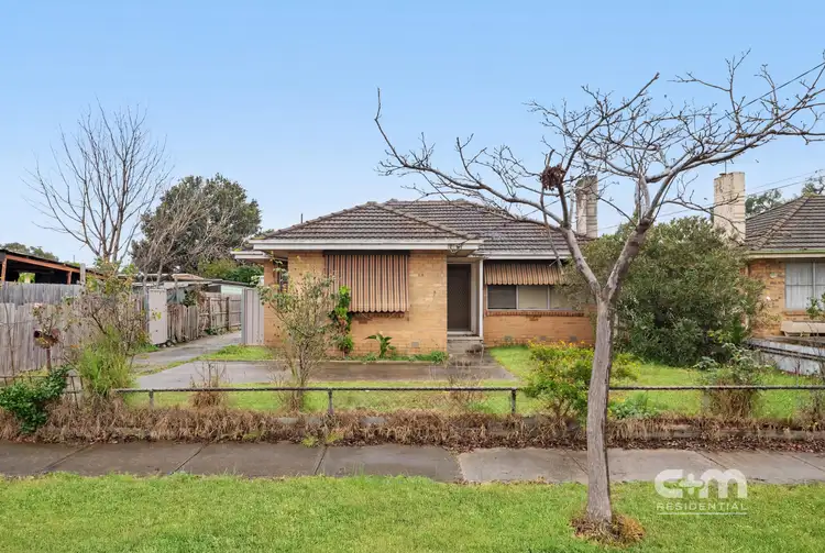 17 Bliburg Street