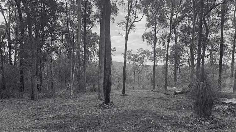 Lot 363 Tamrookum Creek Road