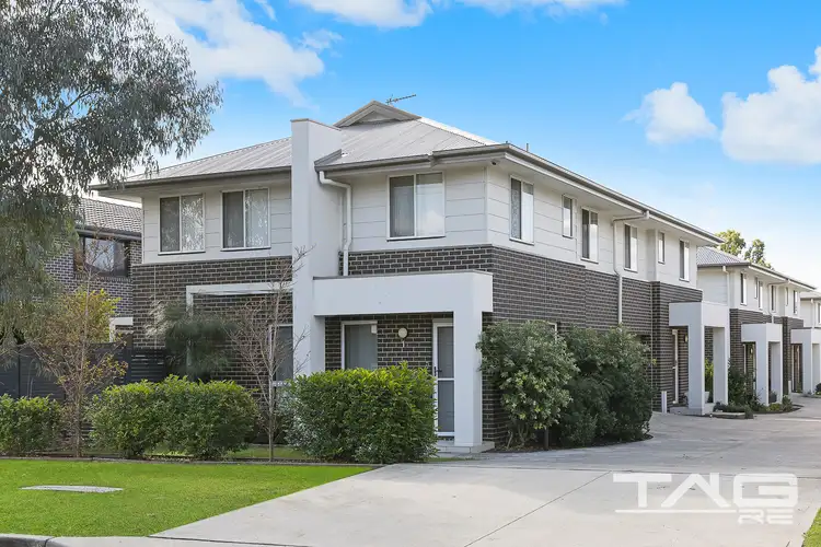 1/49 Canberra Street