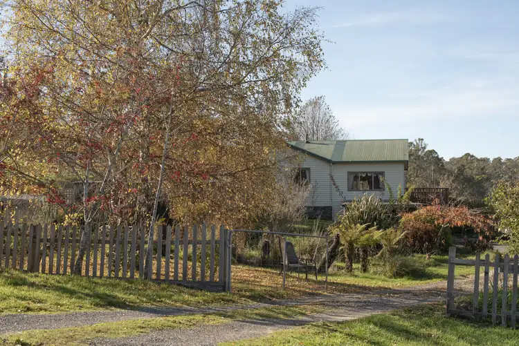 1793 Mole Creek Road