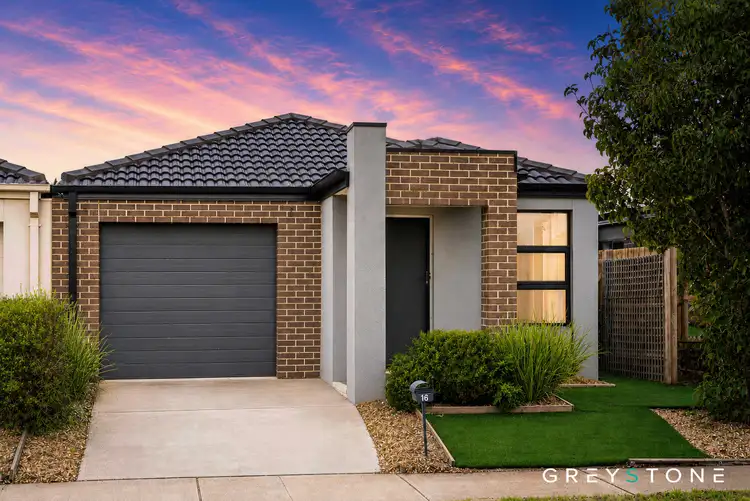 16 Abbott Street
