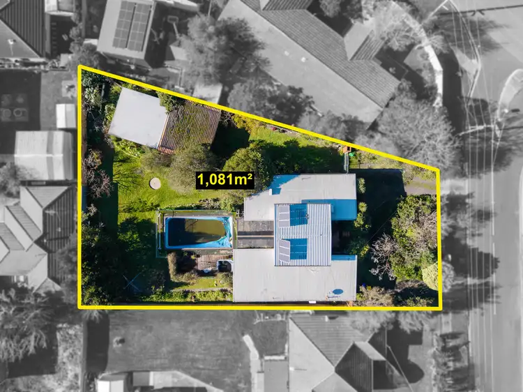 31 Tristania Street