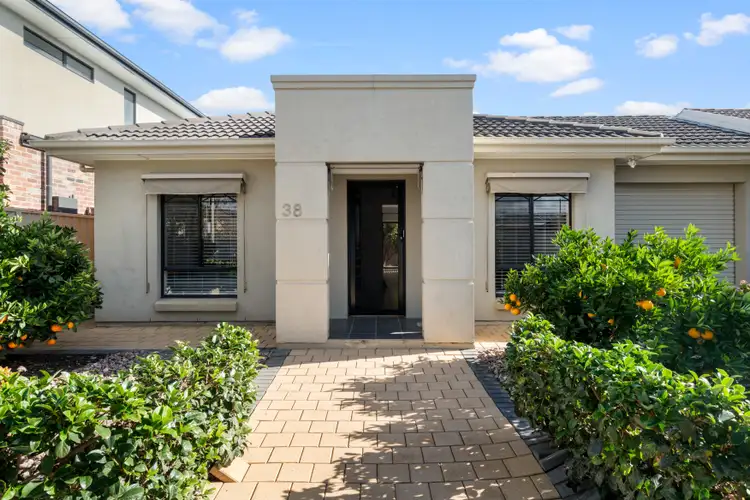 38 Arthur Street