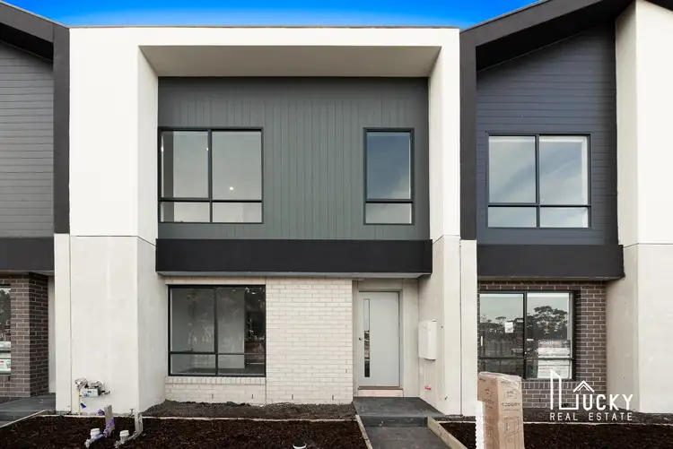 8 Molloy Walk