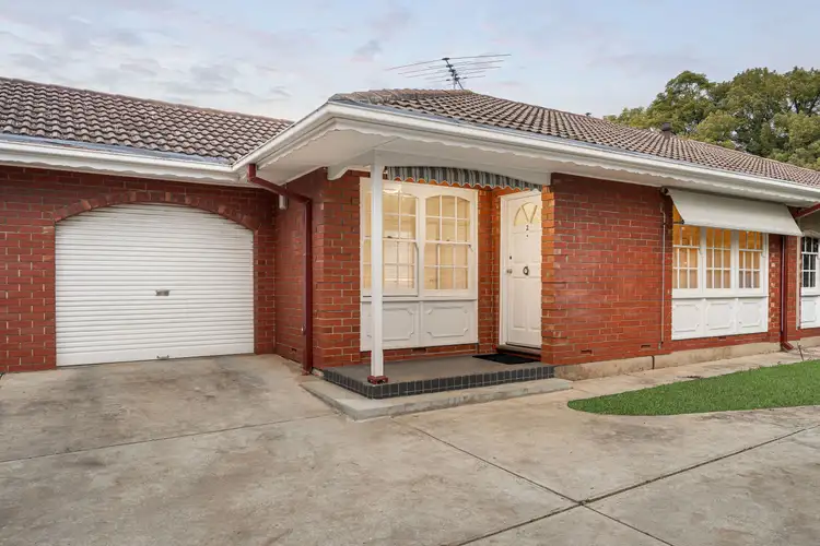 23 Azalea Street