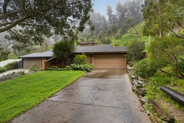 31 Jikara Drive