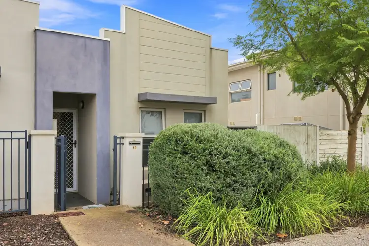 41 Boucaut Avenue