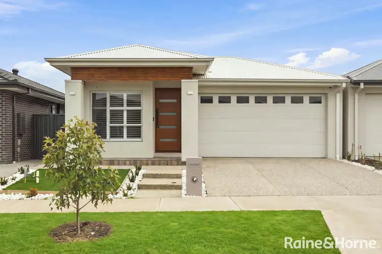 61 Rainbow Street