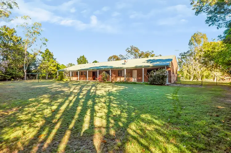 54-58 Mexicanus Drive