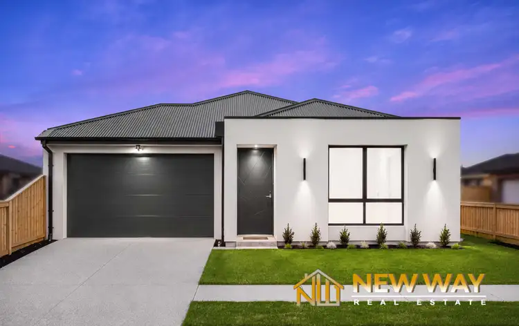 4 Swamphen Street