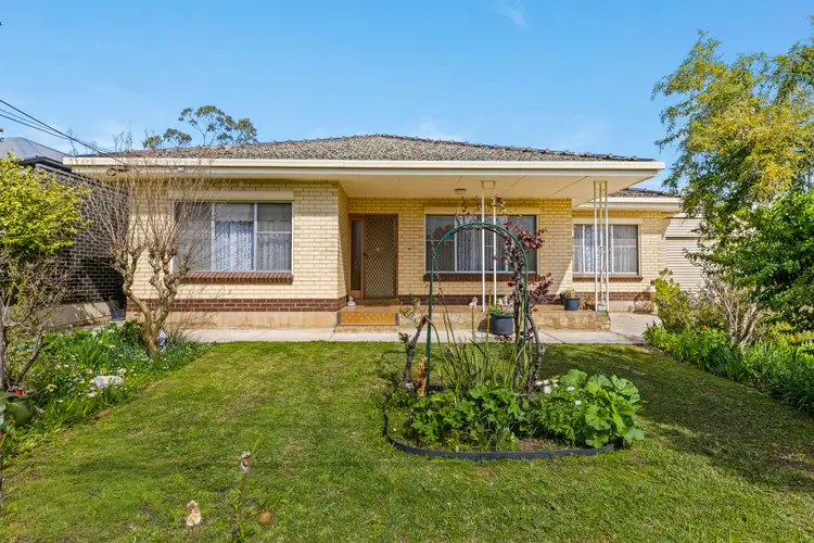12 Trevor Avenue