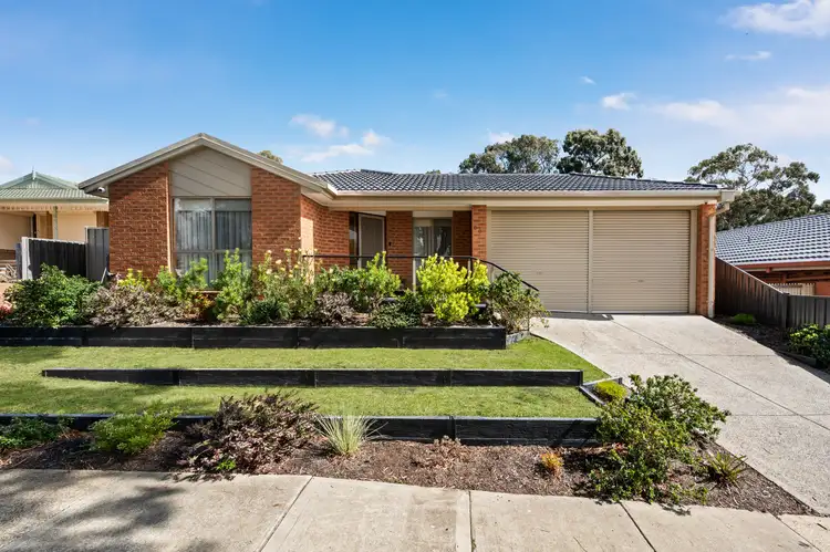 60 Olive Grove