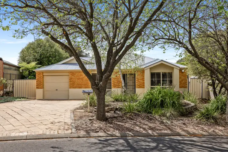 14 Yellow Wood Court