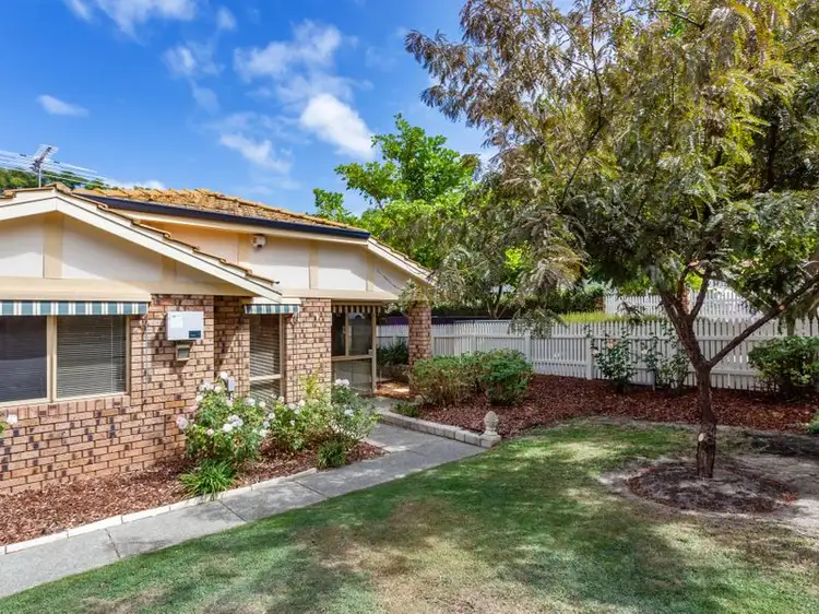 51 Pangbourne Street, Wembley WA 6014