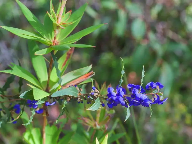 Seventh view of Homely land listing, 22 Riverslea Drive, Margaret River WA 6285