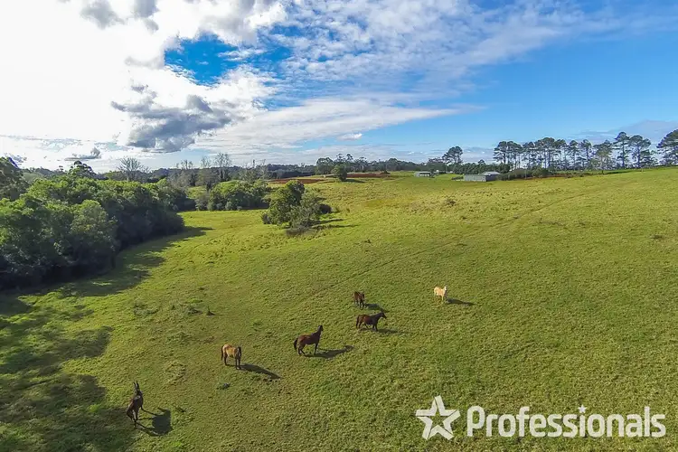 Third view of Homely land listing, 395 Long Road, Tamborine Mountain QLD 4272