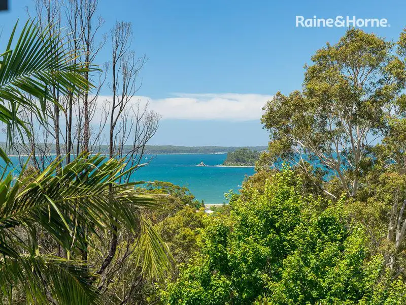 Main view of Homely house listing, 17 Derribong Avenue, Catalina NSW 2536
