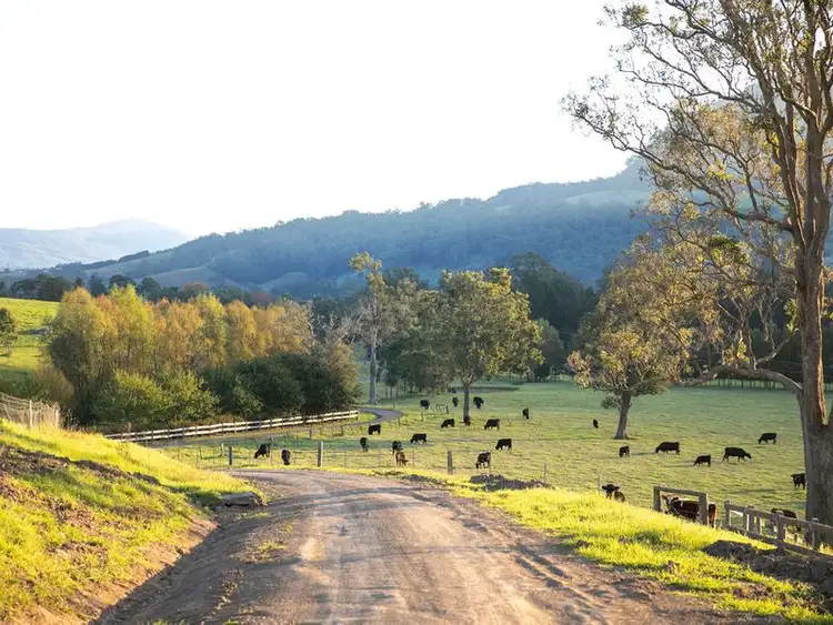 Sixth view of Homely rural property listing, 44 Smarts Road, Kangaroo Valley NSW 2577