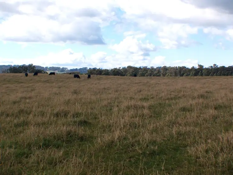 Fifth view of Homely house listing, 261 Headlam Road, Moss Vale NSW 2577