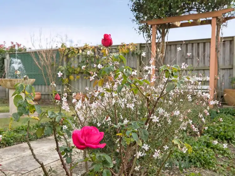 Sixth view of Homely house listing, 60 Emily Circuit, Bowral NSW 2576