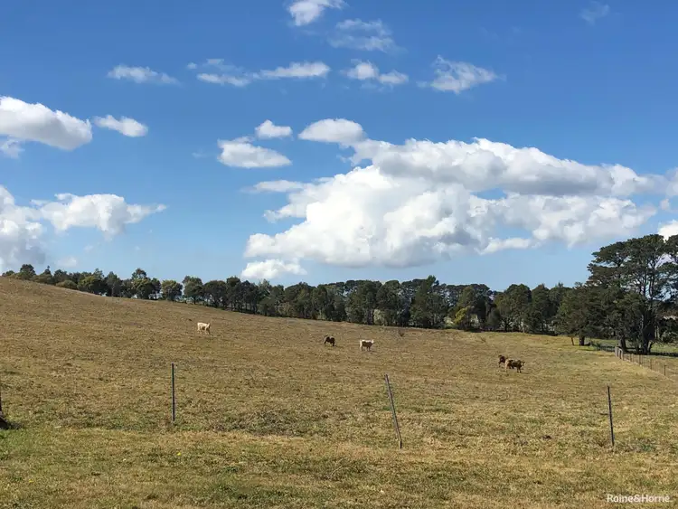 Seventh view of Homely house listing, 57-63 Mackeys Lane, Robertson NSW 2577