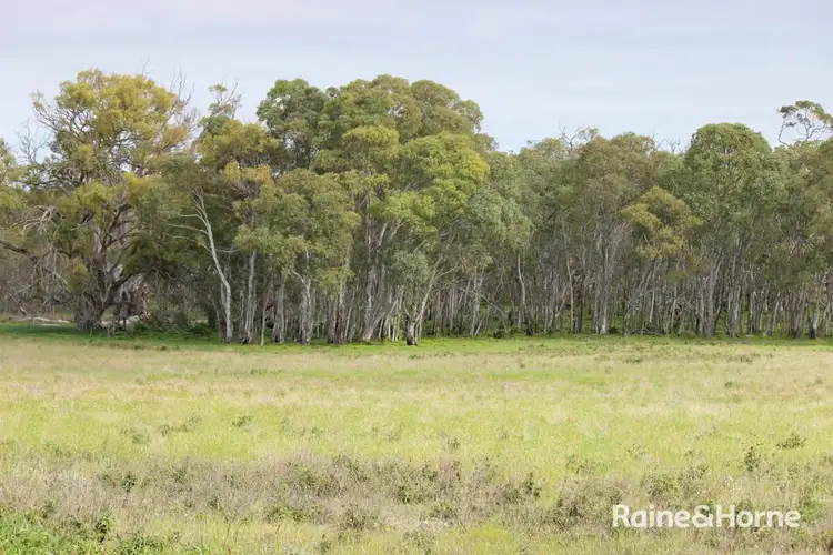 Fourth view of Homely land listing, Lot 104 Eucalyptus Drive, Coulta SA 5607