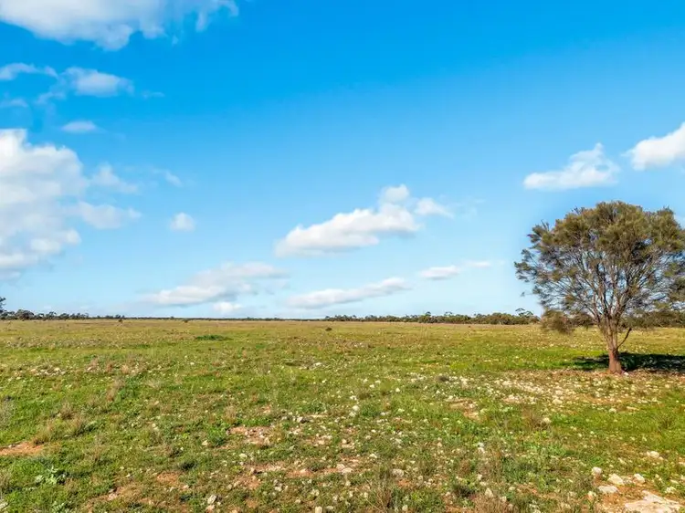 Fourth view of Homely house listing, 288 Lomandra Road, Tailem Bend SA 5260