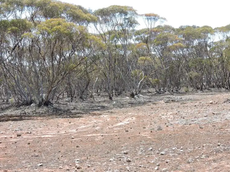 Second view of Homely land listing, Lot 7 Hundred Line Road, Bowhill SA 5238