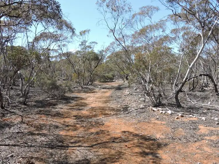 Fourth view of Homely land listing, Lot 7 Hundred Line Road, Bowhill SA 5238