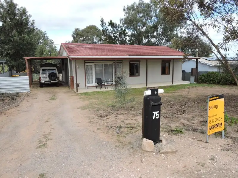 Main view of Homely house listing, 75 Princes Highway, Murray Bridge SA 5253