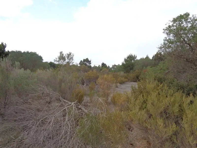 Main view of Homely land listing, 117 The Esplanade, Thompson Beach SA 5501