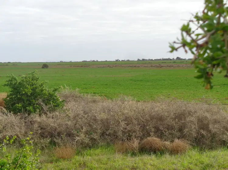 194 North Parham Road, Windsor SA 5501