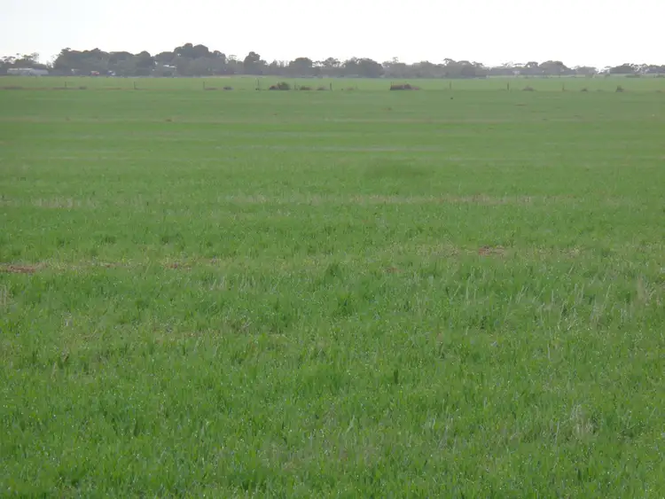 Sixth view of Homely house listing, 194 North Parham Road, Windsor SA 5501